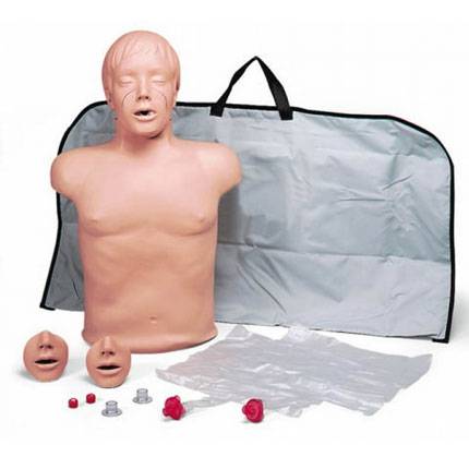 Yetişkin CPR Mankeni - Torso(Gövde) Model